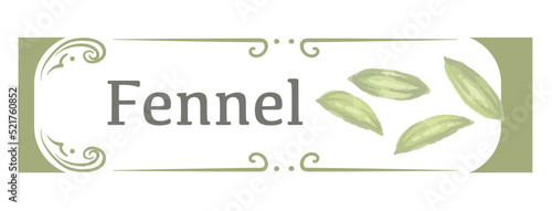 水彩風イラストを使ったフェンネル(カレースパイス)のラベル素材。 ベクターイラスト。