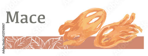 水彩風イラストを使ったメース(スパイス)のラベル素材。 ベクターイラスト。