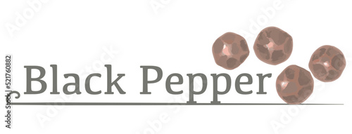 水彩風イラストを使ったブラックペッパーのラベル素材。 ベクターイラスト。