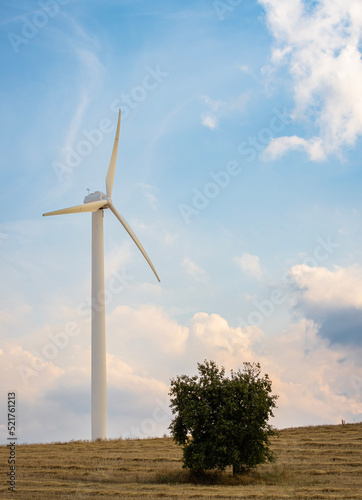 wind turbine in the field
