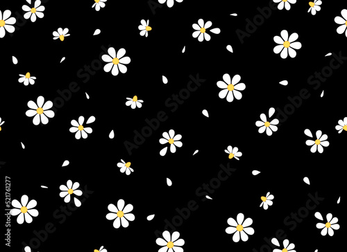 Daisies and petals on a black background seamless pattern. Ideal for printing on fabric and paper.Chamomile flowers. Vector background. 
