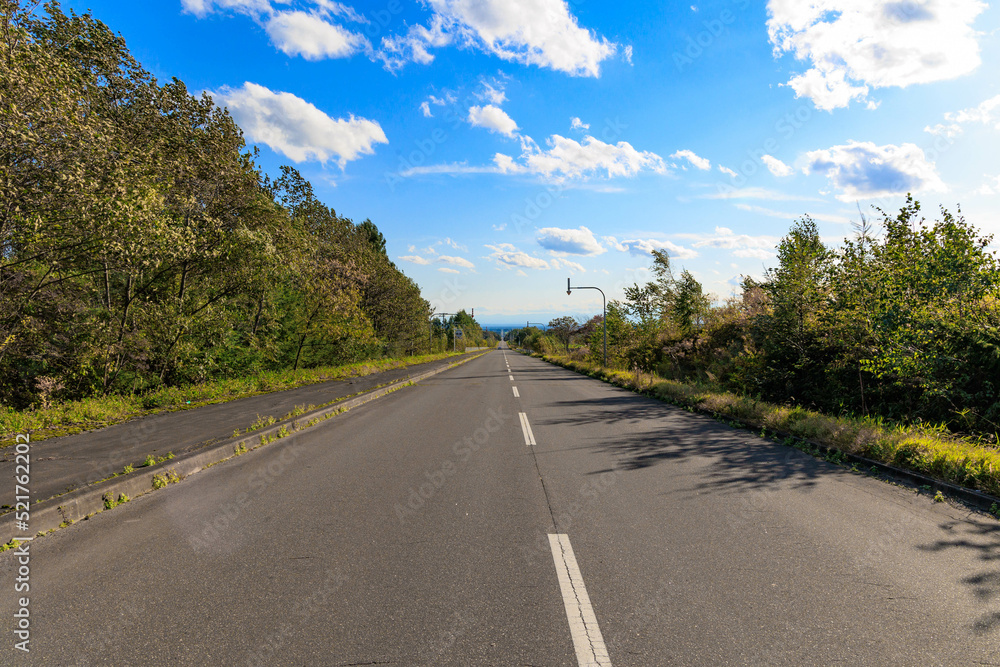 Fototapeta premium 果てしなく続く道「秋の北海道」