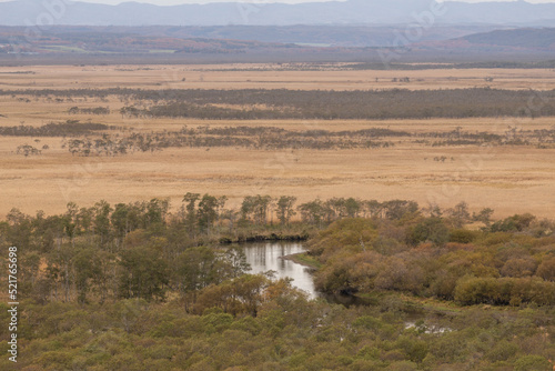 秋の釧路湿原
