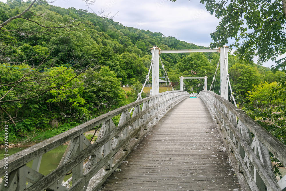 北海道旭川市、石狩川にかかる神居大橋【6月】