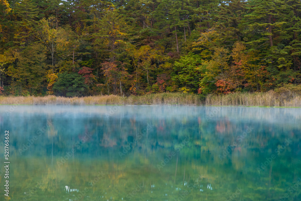 紅葉した福島の五色沼