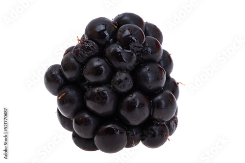 large blackberry isolated