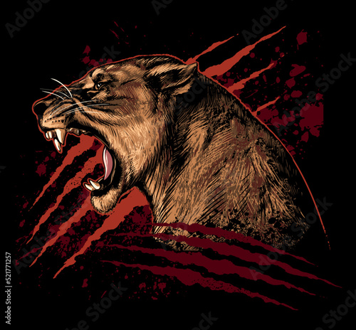 Roaring, angry lioness with the claws scratches and blood stains on background. Lioness vector illustration.