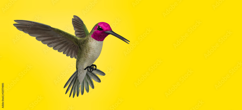 Fototapeta premium 3d illustration of cute hummingbird on colored background 