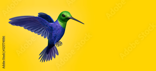 3d illustration of cute hummingbird on colored background 