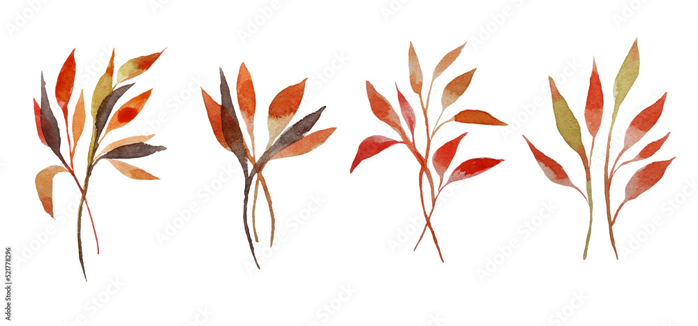 Set of watercolor design elements of the garden rose collection dark blue flowers, leaves, green branches, botanical illustration, isolated on a transparent background Set of watercolor design elements of the garden rose collection dark blue flowers, leaves, green branches, botanical illustration, isolated on a transparent background