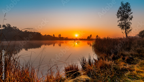 Golden Harvest Sunrise