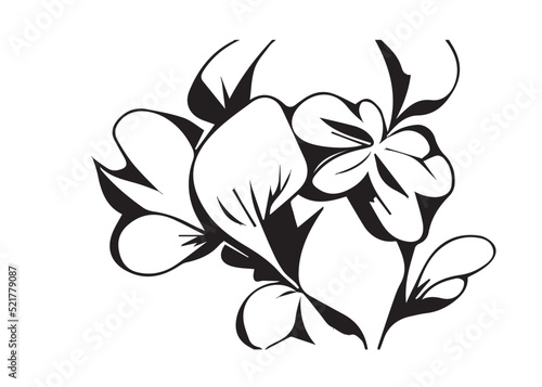 Floral Illustration Black and White 