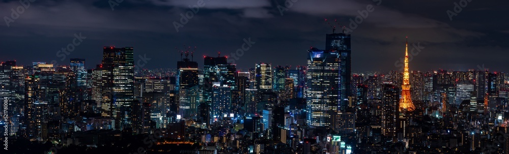 東京の夜景のパノラマ風景