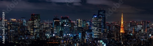 東京の夜景のパノラマ風景