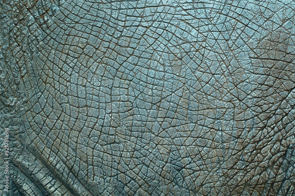 Dinosaur animal skin texture for background.