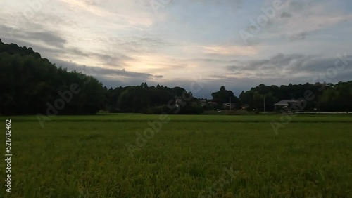 夕日