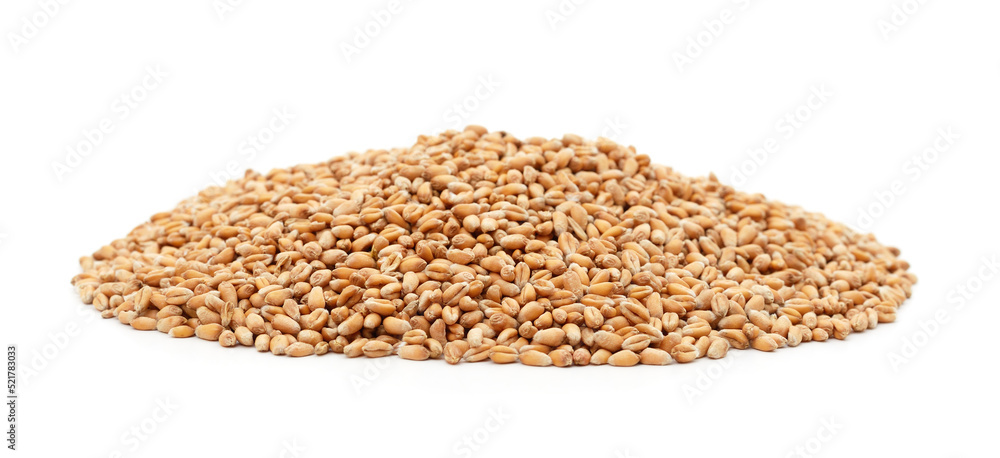 Whole grain of wheat. Whole grain of wheat.