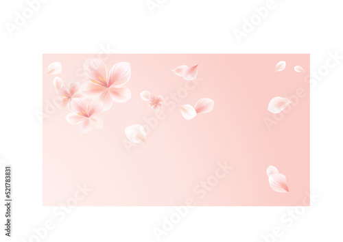 Flying flowers and petals isolated on light peach pink gradient background. Cherry blossom. Vector