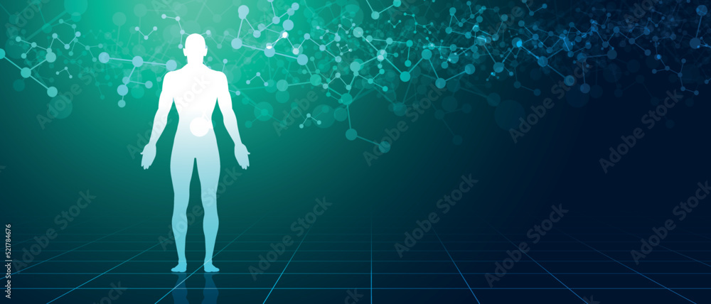 sistema immunitario, corpo umano, silhouette, Stock Vector | Adobe Stock