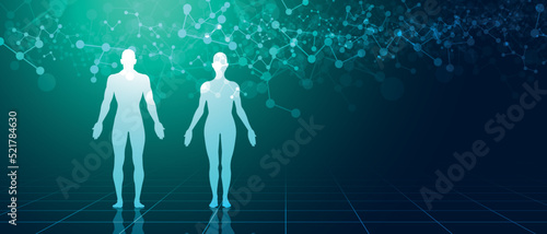 sistema immunitario, corpo umano, silhouette,	 photo