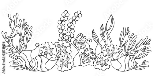 Underwater coloring page. Vector border . Doodle of the sea world . Monochrome. Aquariums. Hand drawn illustration
