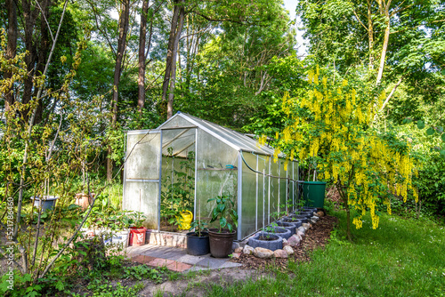 Gewächshaus im Garten für den Eigenverbrauch und Anbau von Bio Gemüse
