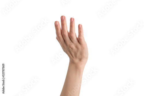 Woman hand isolated on a white background.