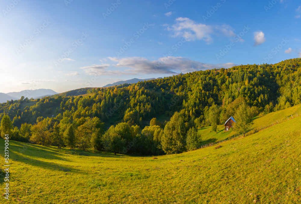 Fototapeta premium mountainous rural landscape on a sunny afternoon. forested hills and green grassy meadows in evening light. ridge in the distance. sunny weather with fluffy clouds on the bright blue sky