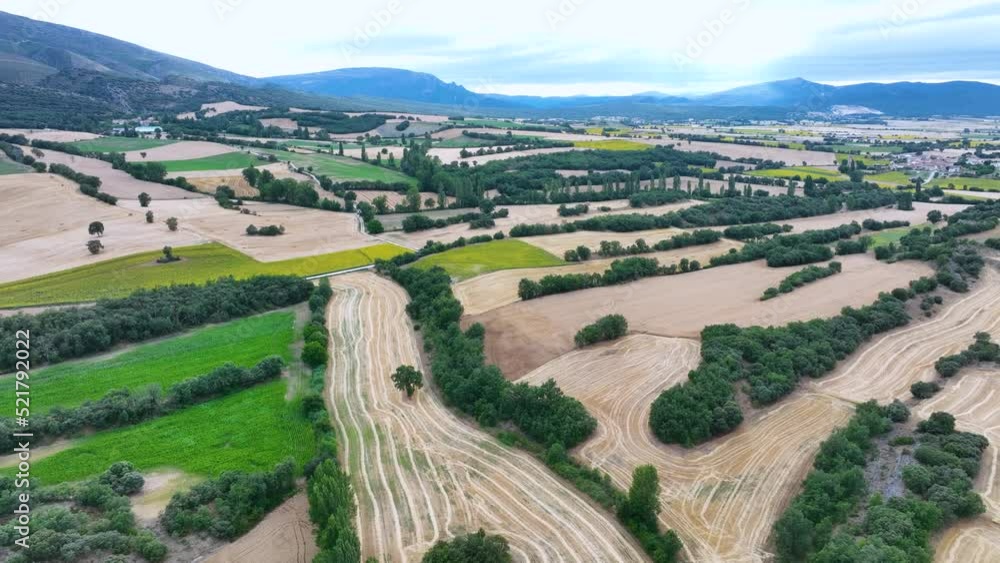 Landscape of fields and woods in Paralacuesta. Merindad de Cuesta-Urria. The Meringues. Burgos. Castile and Leon. Spain. Europe Landscape of fields and woods in Paralacuesta. Merindad de Cuesta-Urria. The Meringues. Burgos. Castile and Leon. Spain. Europe