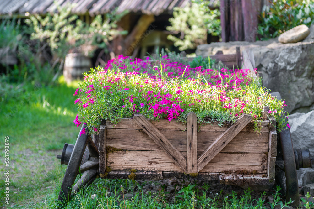 drewniany wóz z kwiatami w ogrodzie - obrazy, fototapety, plakaty 