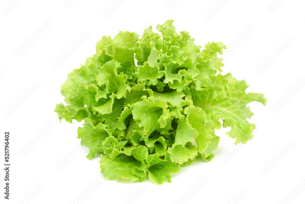 Lettuce Leaves, Vegetables, Isolated on white background. Lettuce Leaves, Vegetables, Isolated on white background.