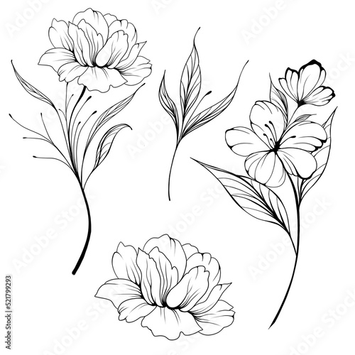 Big set Beautiful sketch of a tattoo - a delicate twig with flowers . Flowers...