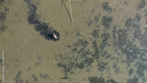 Fisherman catches fish with a large net in a drained pond