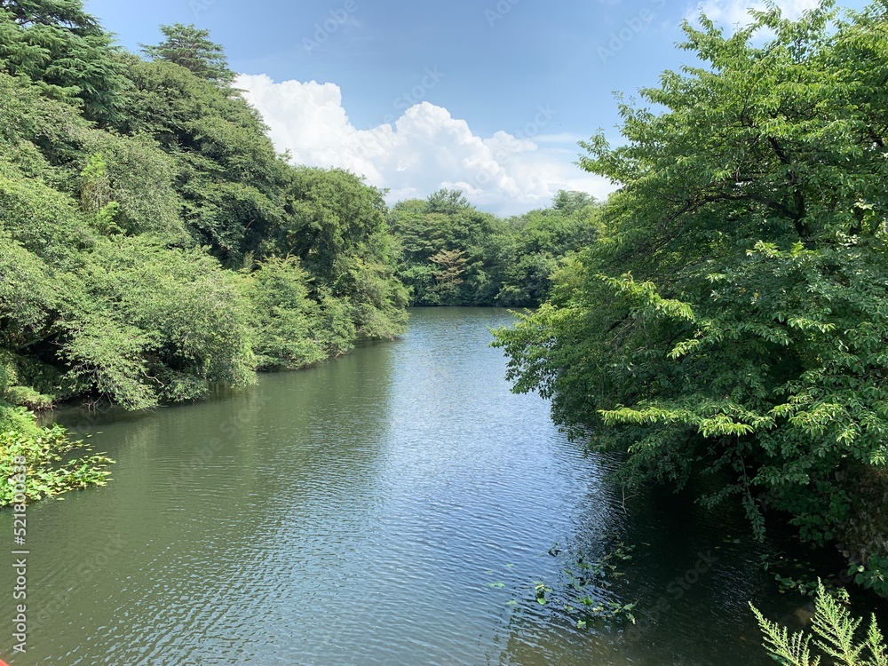 高岡城跡の堀 高岡城跡の堀