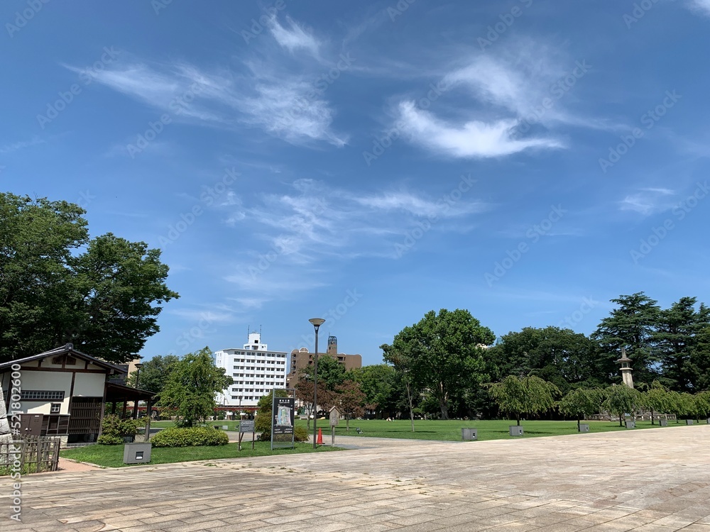 Naklejka premium 富山市の富山城址公園