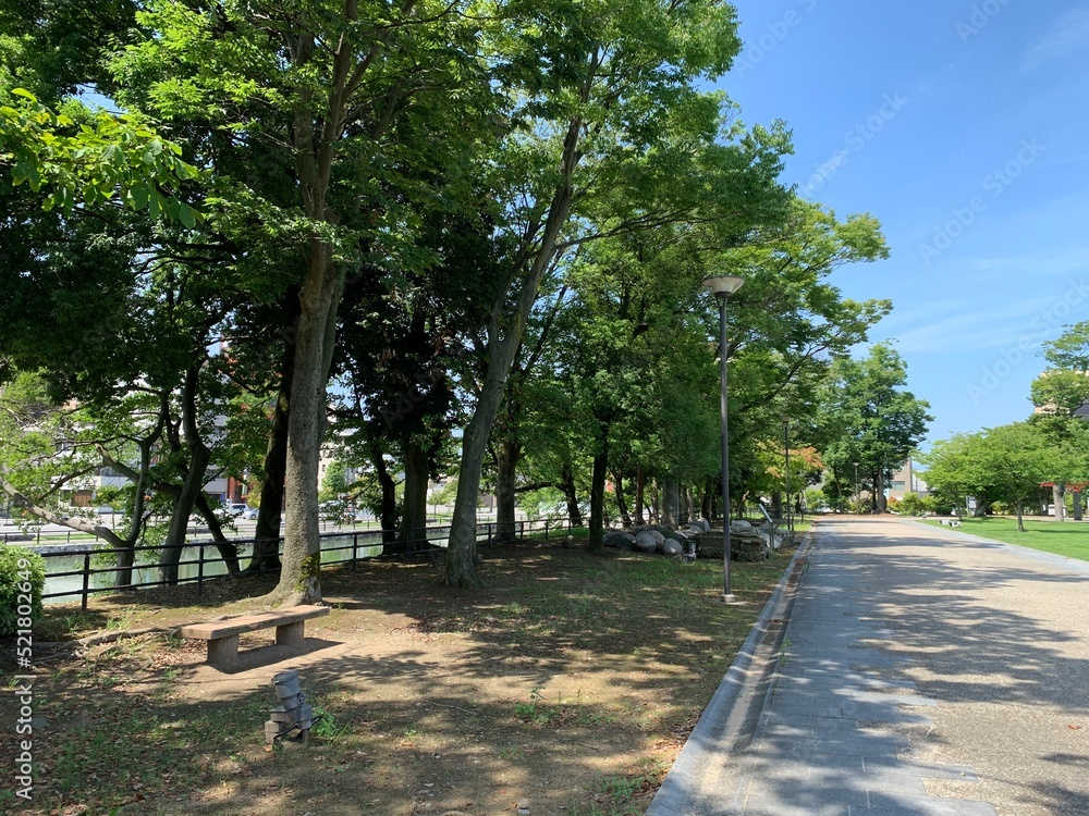 富山市の富山城址公園