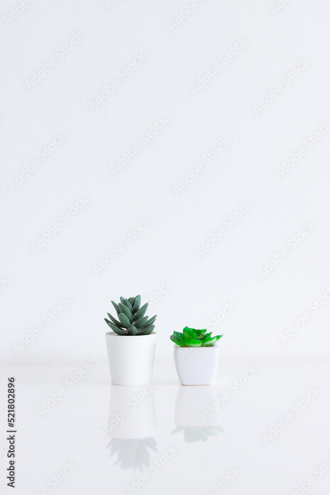 Artificial plants in a white pot on white table with white wall backbround for Interior decoration, Minimalist