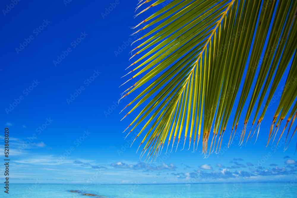 Tropical seascape. Beautiful island view, ocean waves, blue cloudy sky, green palm and crystal sea water. Ocean beach relax, travel to islands. Vacation on the scenic beach