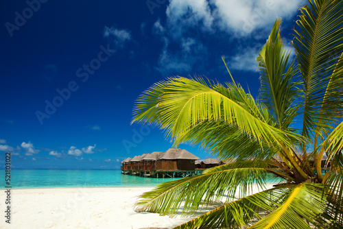 Fototapeta Naklejka Na Ścianę i Meble -  Tropical seascape. Beautiful island view with white sand, ocean waves, green palms, blue cloudy sky and crystal sea water. Happy lifestyle. Ocean beach relax, travel to islands. Vacation on the beach.