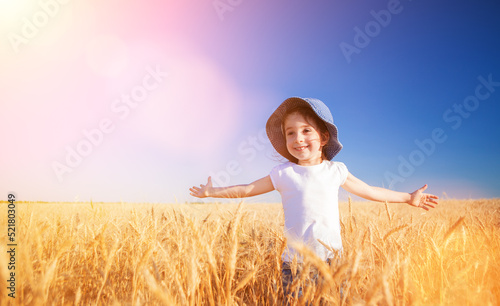 Happy girl walking in golden wheat  enjoying the life in the field. Nature beauty  sunny blue sky and field of wheat. Family outdoor lifestyle. Freedom concept. Cute little girl in summer field
