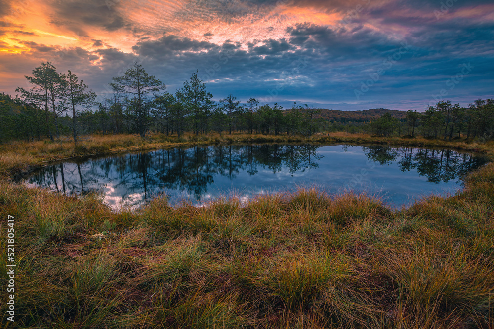 Amazing sunrise landscape and small lake in the bog, Romania Amazing sunrise landscape and small lake in the bog, Romania