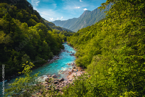 Obraz na płótnie Winding Soca river in the green forest near Kobarid, Slovenia w salonie