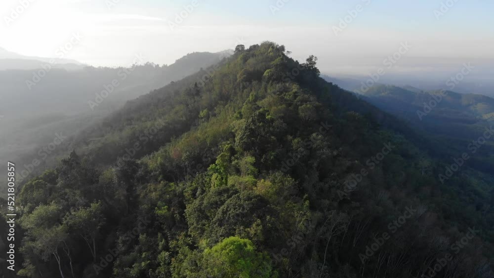 Aerial view tropical rainforest mountain hill morning sunrise with fog Aerial view tropical rainforest mountain hill morning sunrise with fog