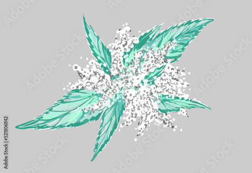 An unusual plant. White flowers near the grass. Nettle blooming, top view. Illustration on an isolated background. Vector.