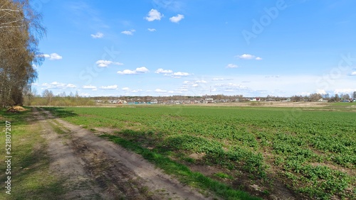 The dirt road goes along the planting of trees and cultivated field with green crops. Behind the field there is a village. Houses and trees can be seen. The weather is sunny, the sky is blue with clou