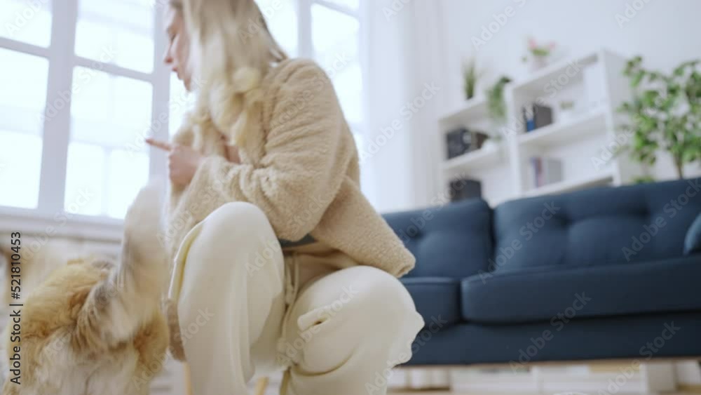Female owner scolding naughty dog for chewing shoes at home, bad puppy behavior Female owner scolding naughty dog for chewing shoes at home, bad puppy behavior