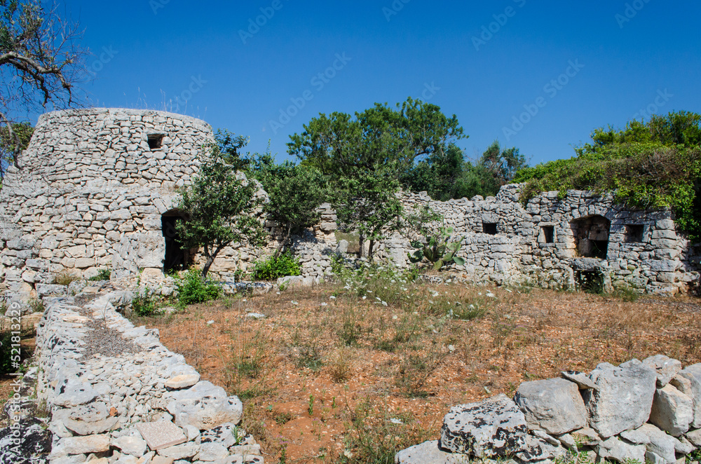 Una pajara, tipica costruzione rurale del Salento in Puglia, fra gli ulivi secolari che crescono in un campo dalla tipica terra rossa