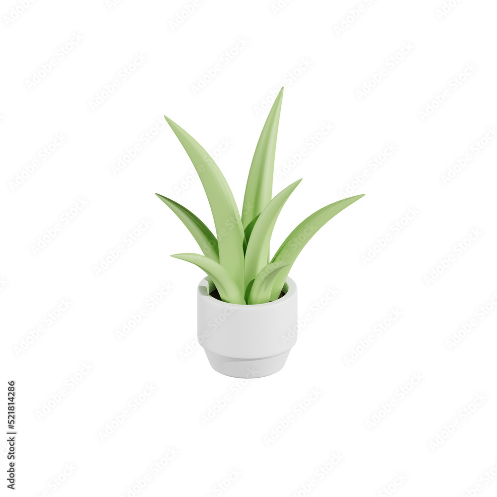 Aloevera Plant 3D Illustrations