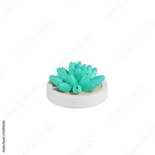 Agave Titanota Plant 3D Illustrations photo