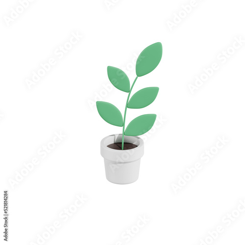 Ficus Pomila Plant 3D Illustrations